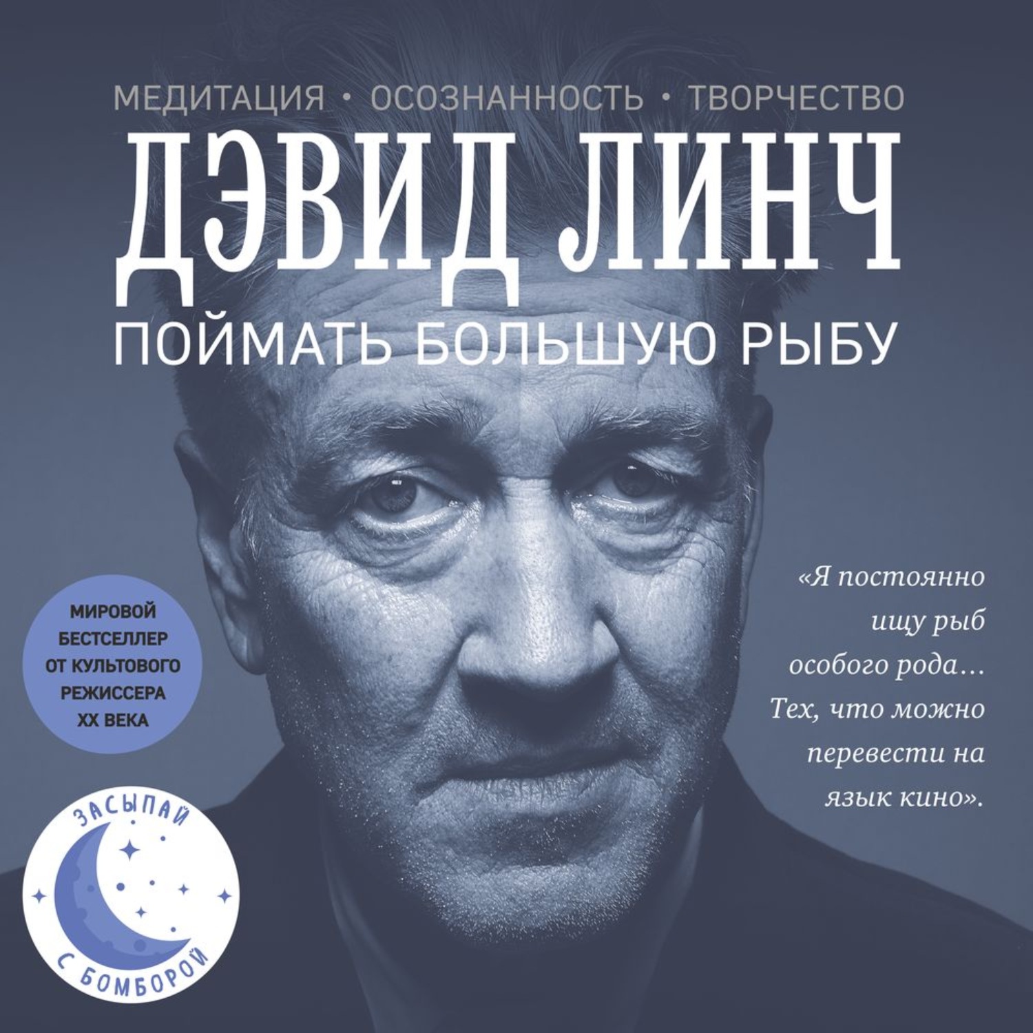 Обложка книги «Поймать большую рыбу. Медитация, осознанность, творчество»