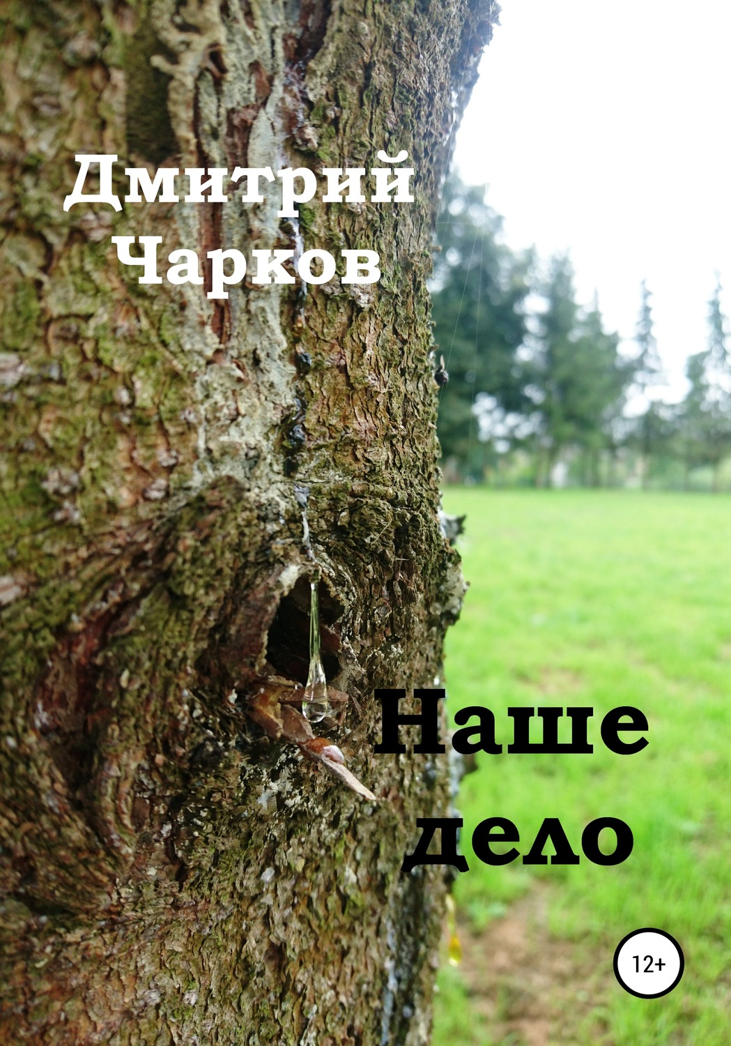 Обложка книги «Наше дело»