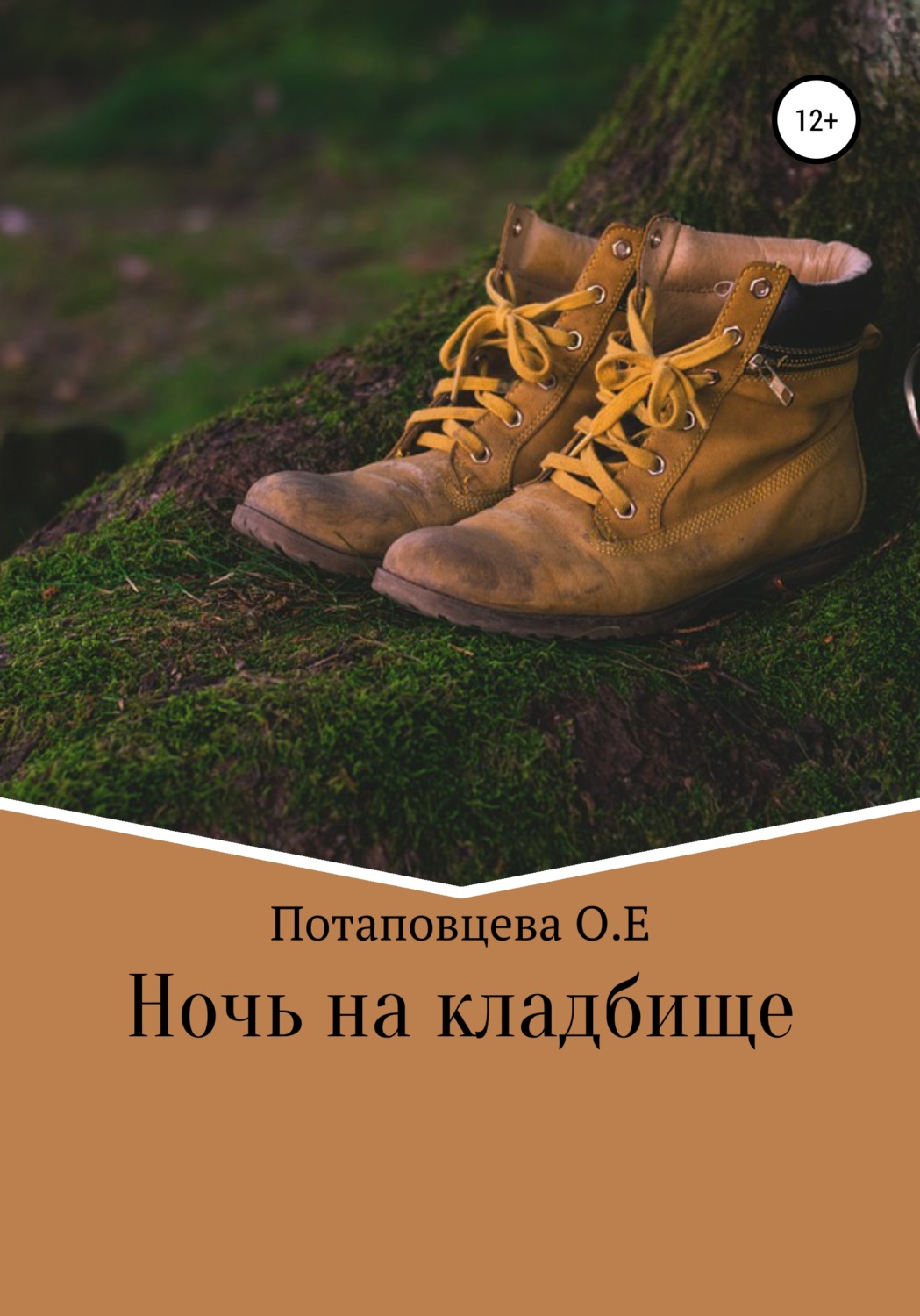 Обложка книги «Ночь на кладбище»