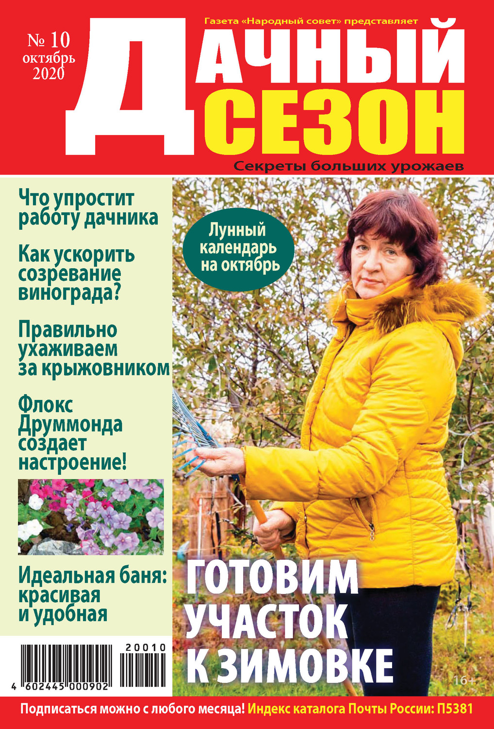 Обложка книги «Дачный сезон №10/2020»