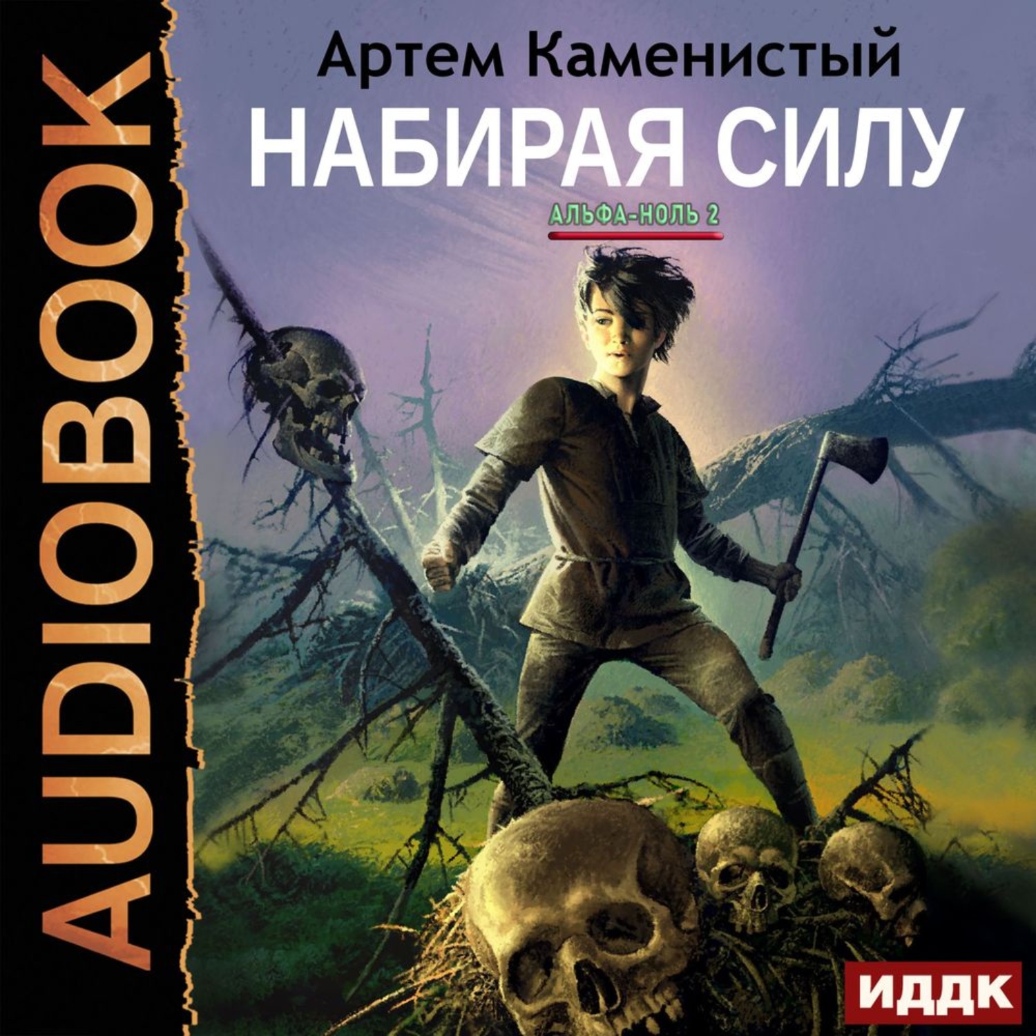 Обложка книги «Набирая силу»