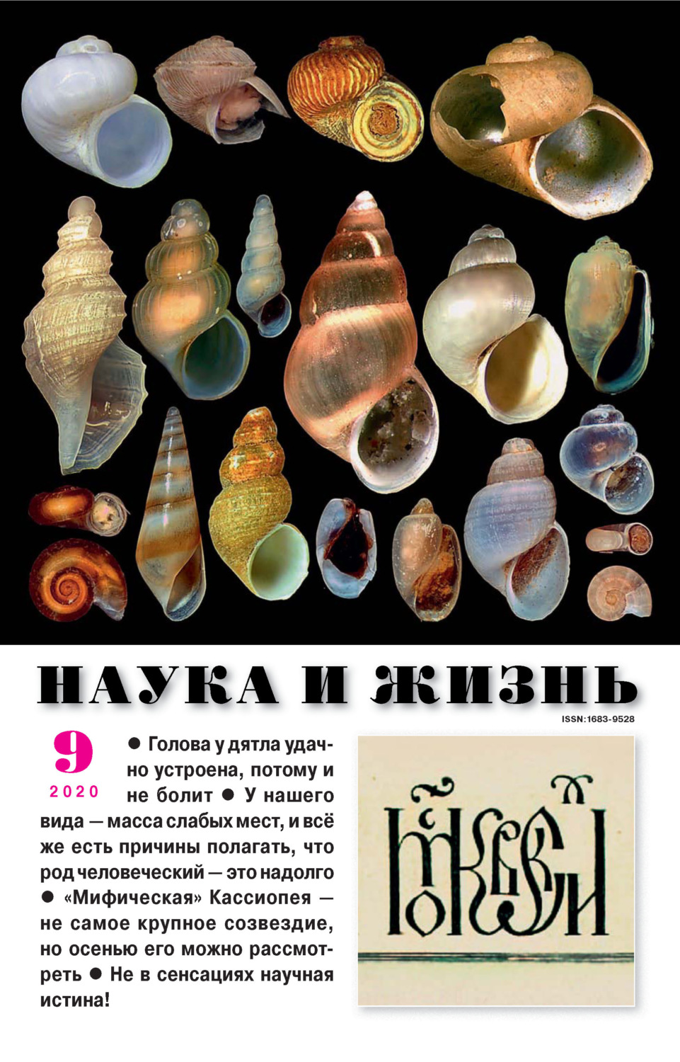 Обложка книги «Наука и жизнь №09/2020»