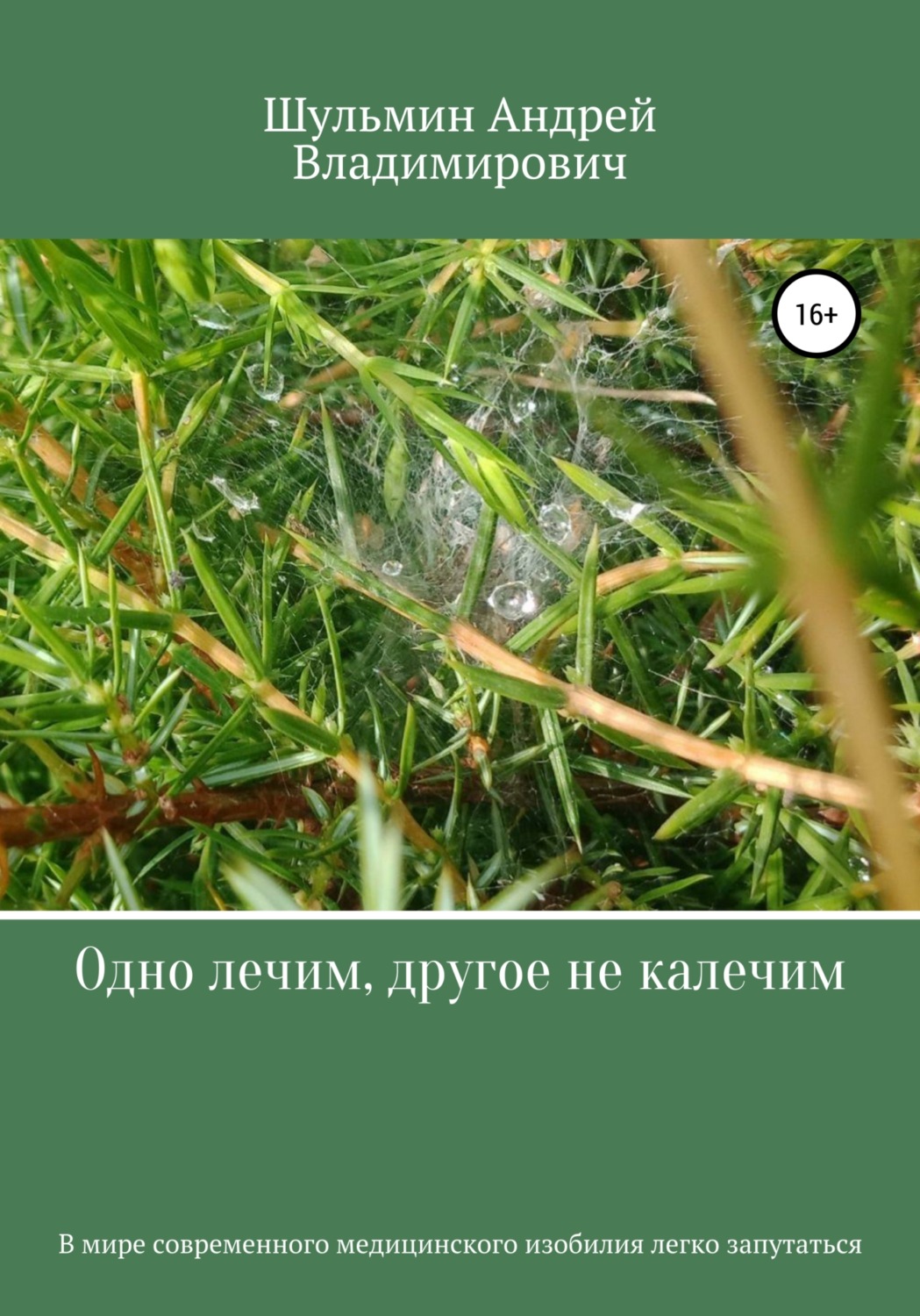 Обложка книги «Одно лечим, другое не калечим»