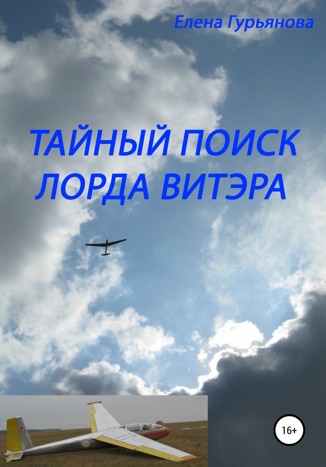 Обложка книги «Тайный поиск лорда Витэра»