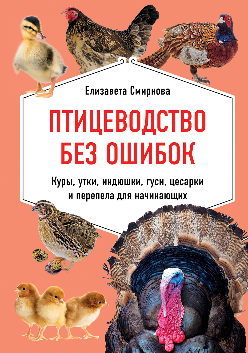Обложка книги «Птицеводство без ошибок. Куры, утки, индюшки, гуси, цесарки и перепела для начинающих»