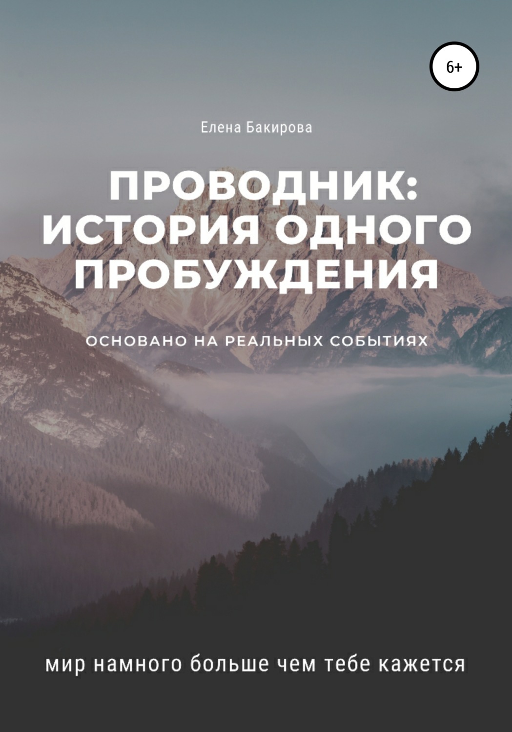Обложка книги «Проводник: история одного пробуждения»