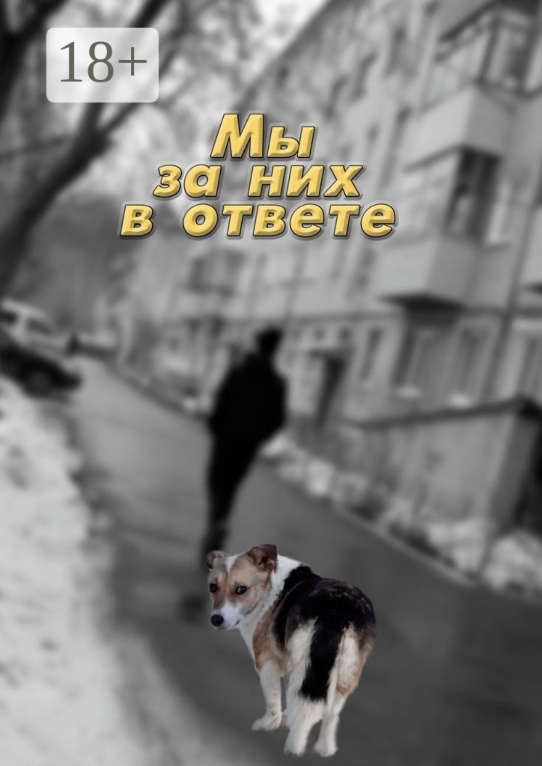 Обложка книги «Мы за них в ответе»