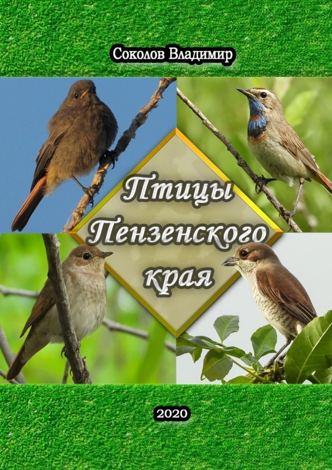 Обложка книги «Птицы Пензенского края. Или моя первая фотовыставка»
