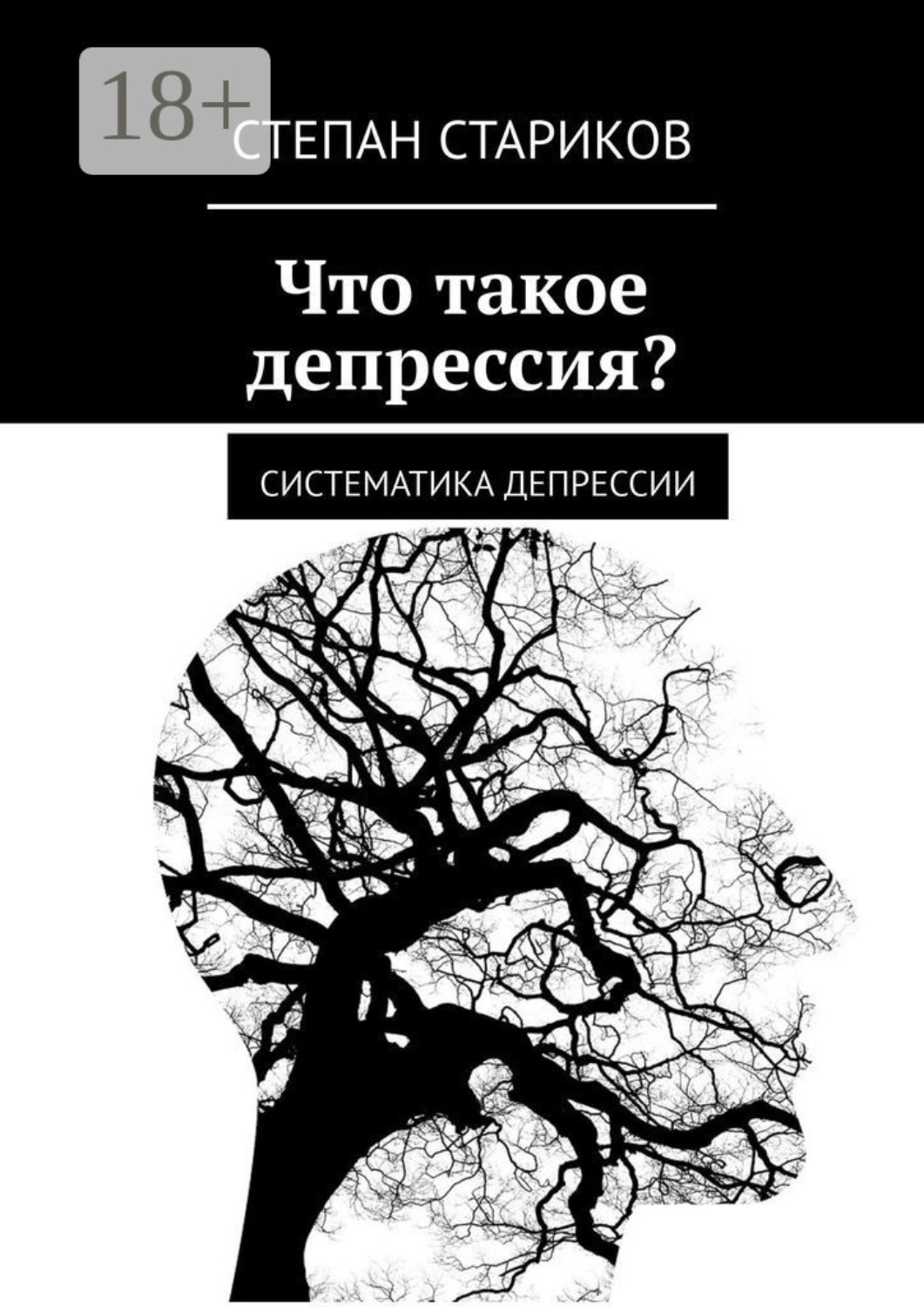 Обложка книги «Что такое депрессия? Систематика депрессии»