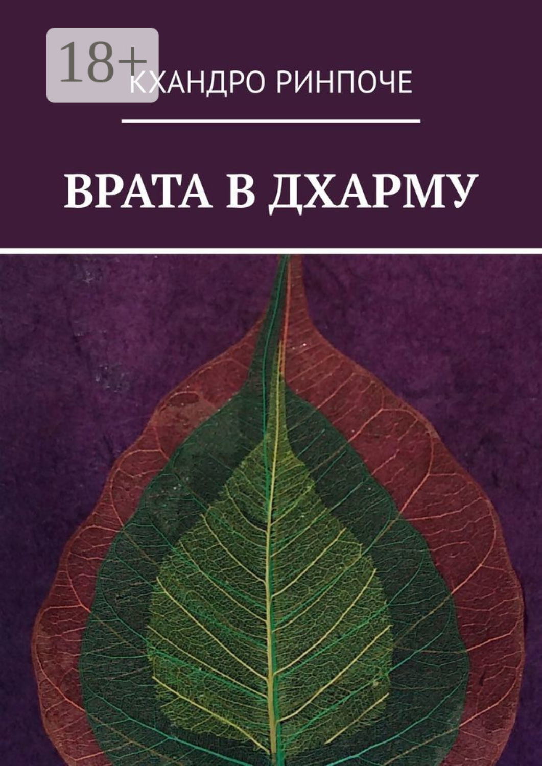 Обложка книги «Врата в Дхарму»