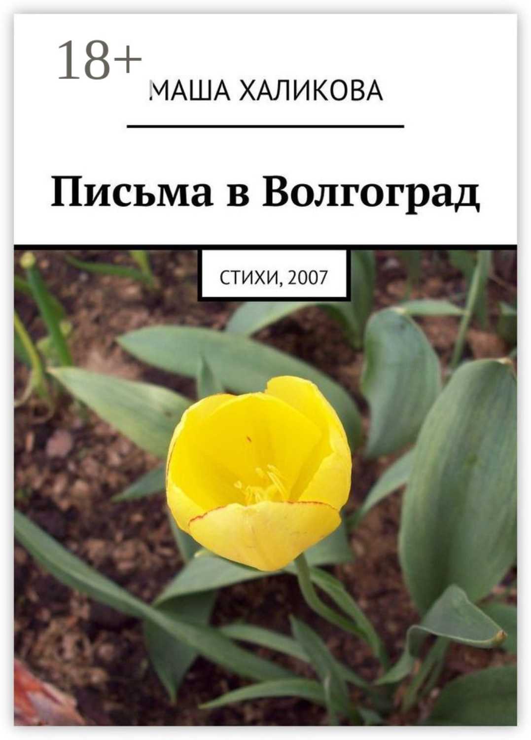 Обложка книги «Письма в Волгоград. Стихи, 2007»