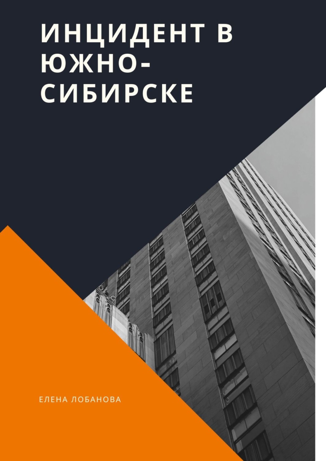 Обложка книги «Инцидент в Южно-Сибирске»