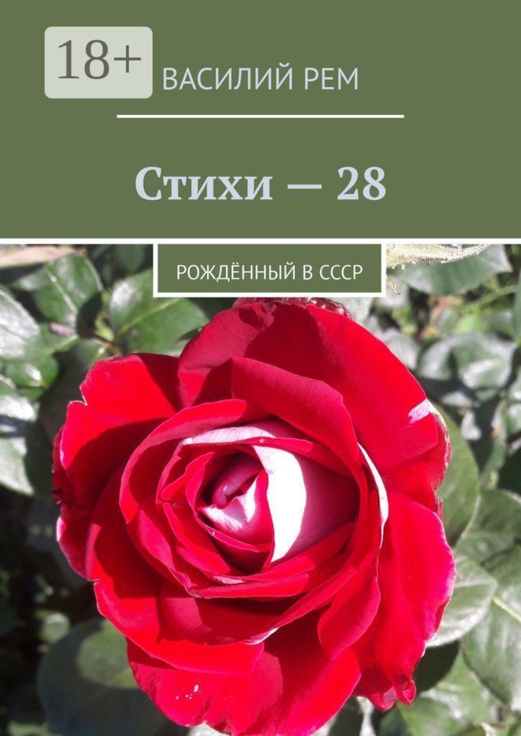 Обложка книги «Стихи — 28. Рождённый в СССР»