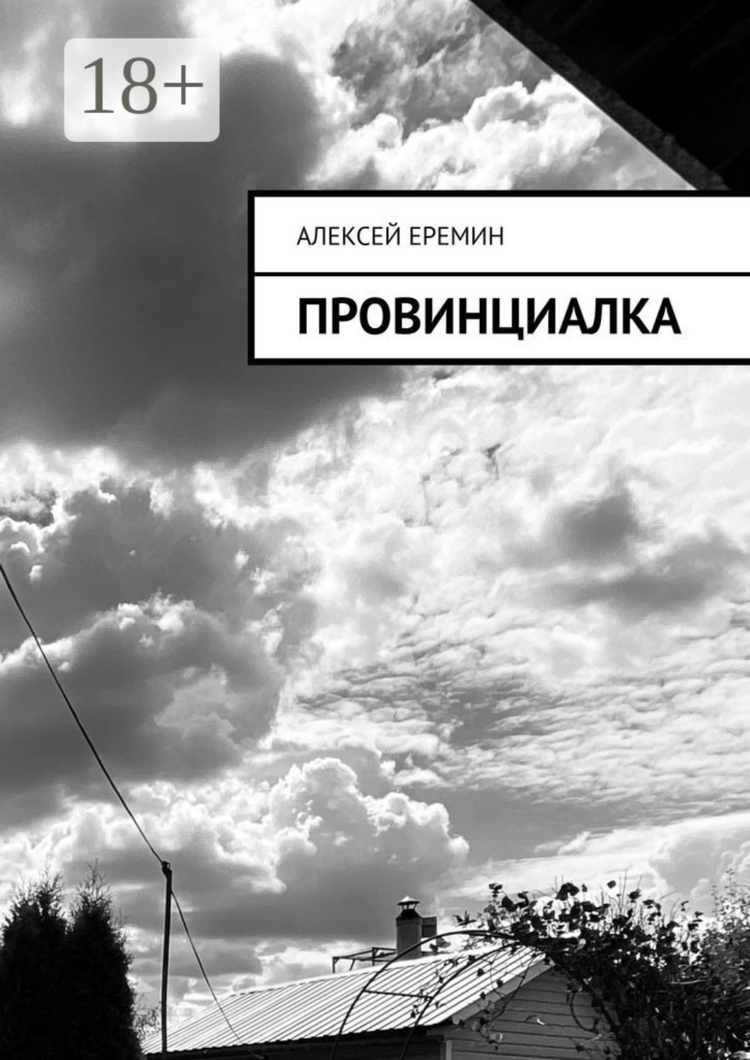 Обложка книги «Провинциалка»