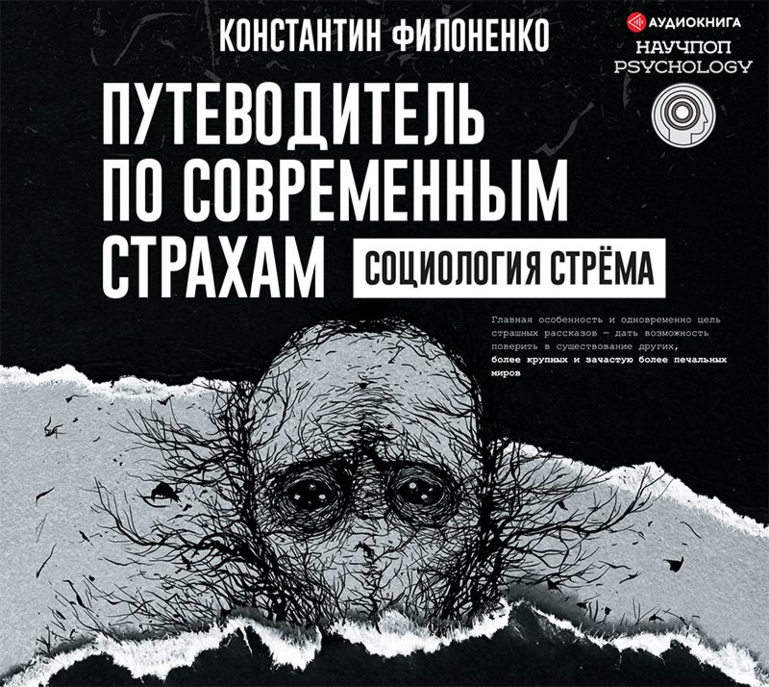 Обложка книги «Путеводитель по современным страхам. Социология стрёма»