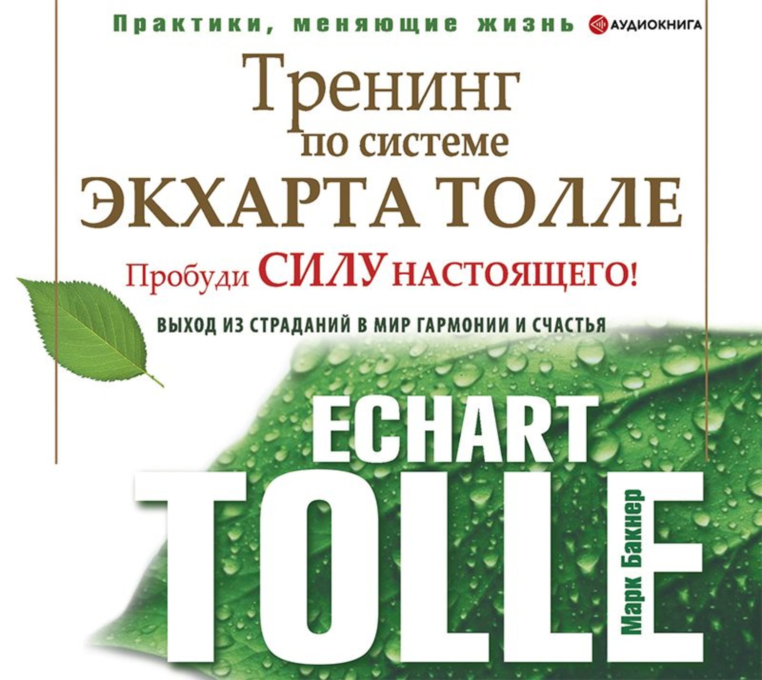 Обложка книги «Тренинг по системе Экхарта Толле. Пробуди силу настоящего! Выход из страданий в мир гармонии и счастья»