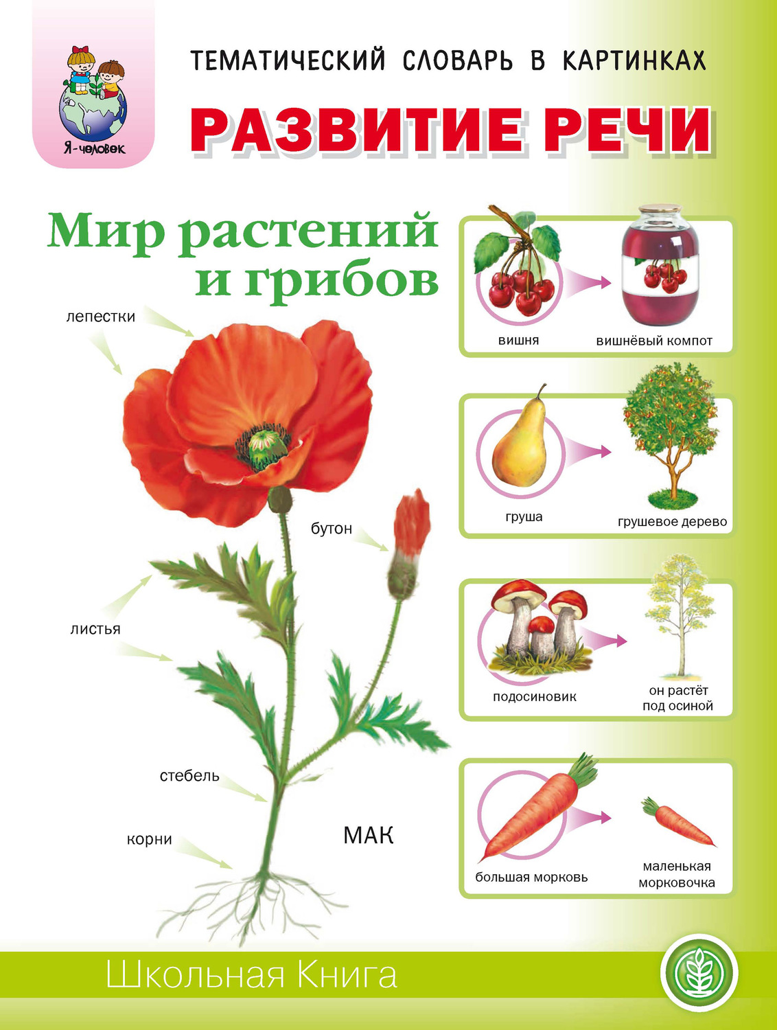 Обложка книги «Развитие речи «Мир растений и грибов»: Фрукты. Овощи. Ягоды. Грибы. Цветы. Деревья»