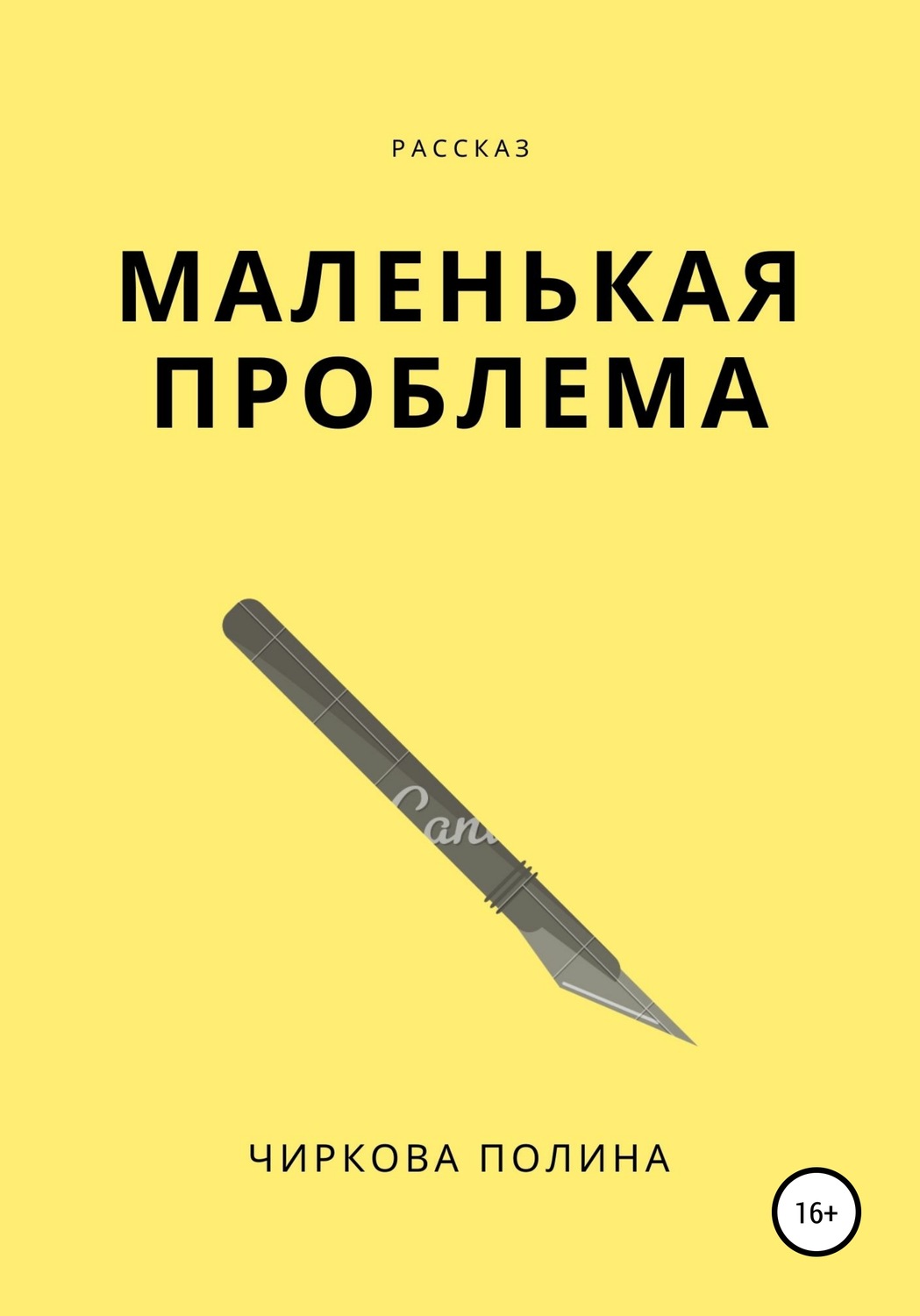 Обложка книги «Маленькая проблема»