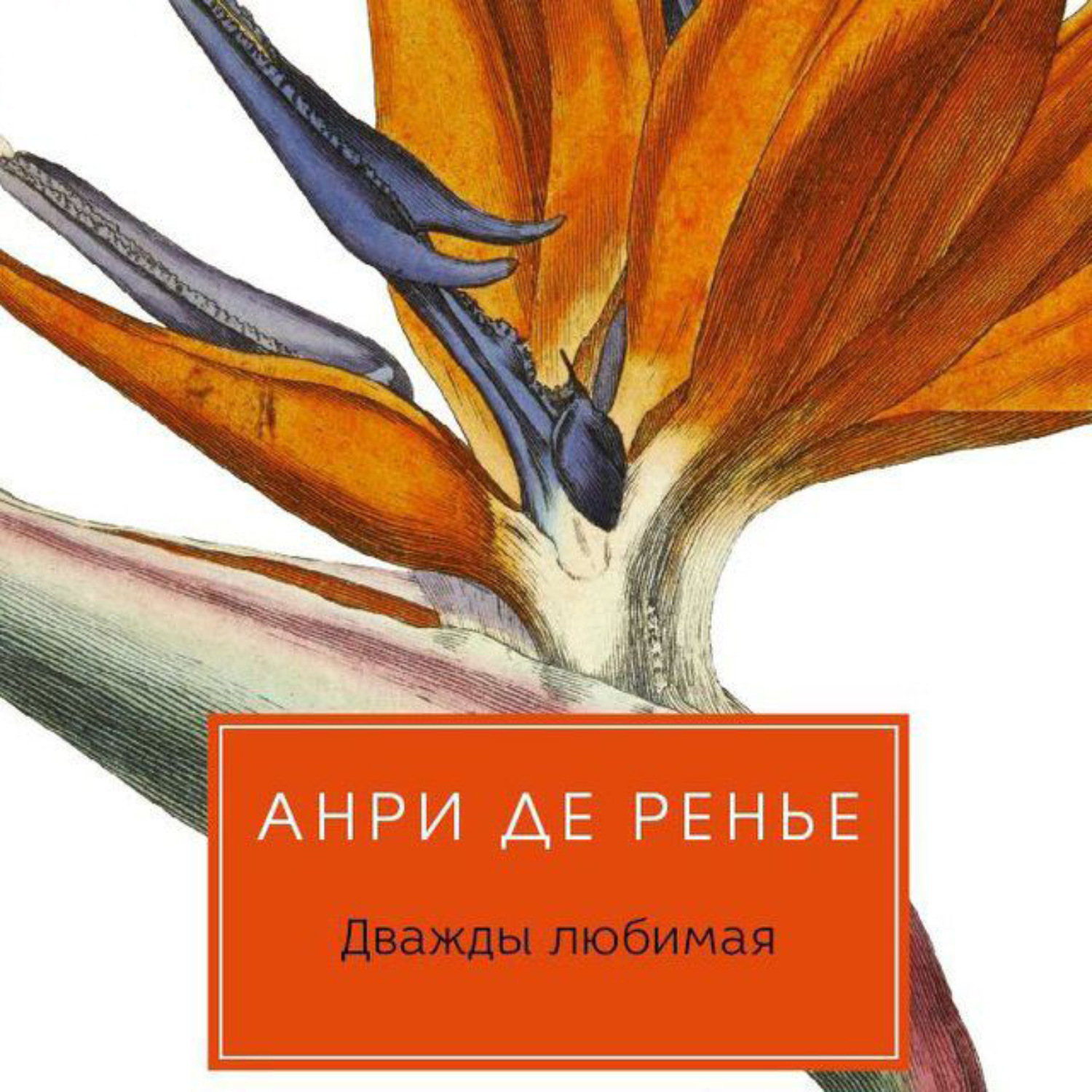Обложка книги «Дважды любимая»