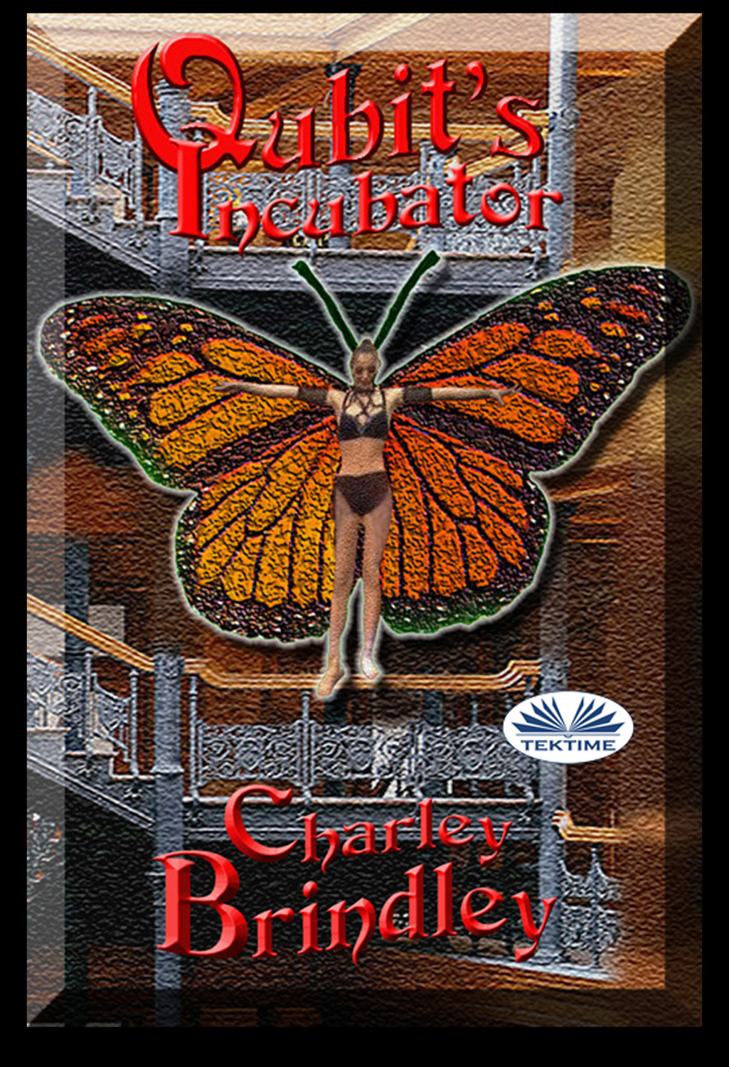 Обложка книги «Qubit's Incubator»
