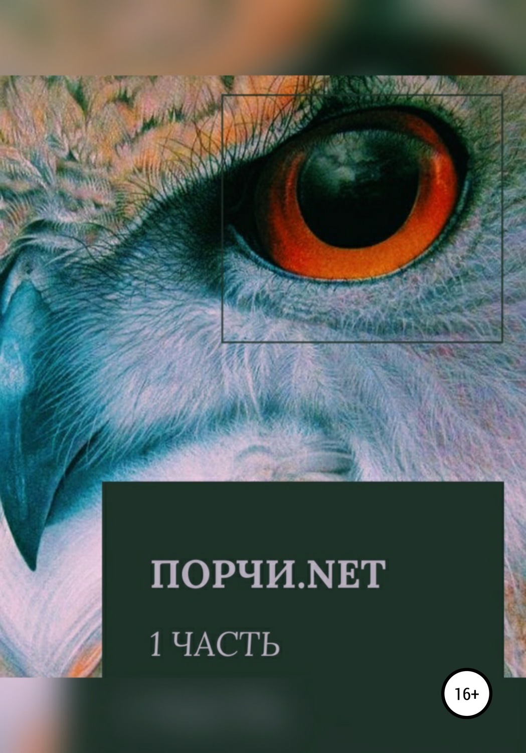 Обложка книги «Порчи.net. Часть первая»