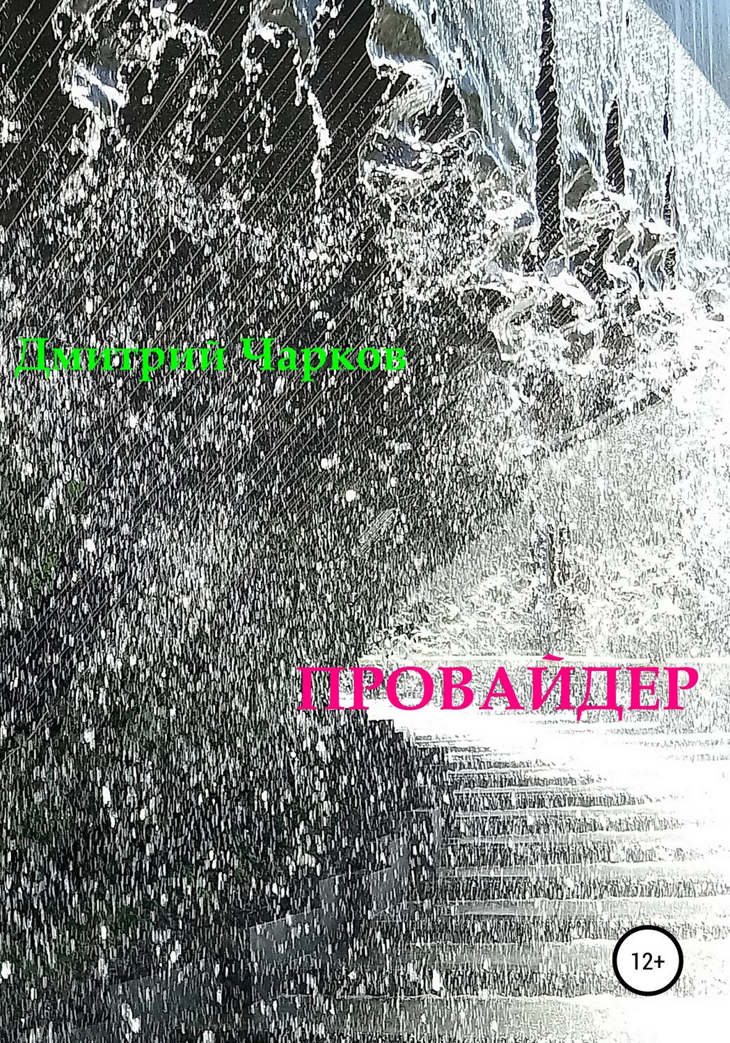 Обложка книги «Провайдер»