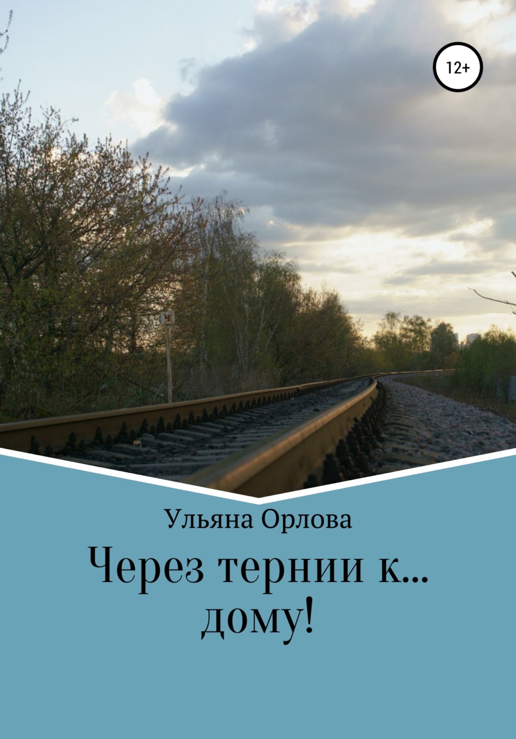 Обложка книги «Через тернии к… дому»