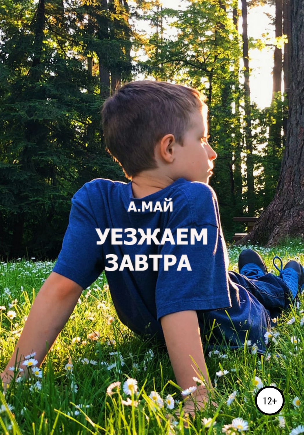 Обложка книги «Уезжаем завтра»