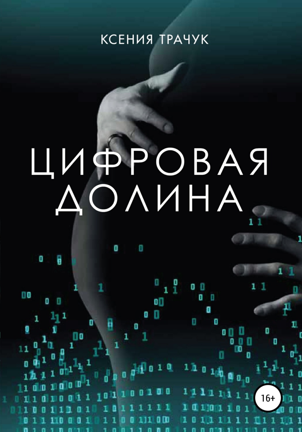 Обложка книги «Цифровая долина»
