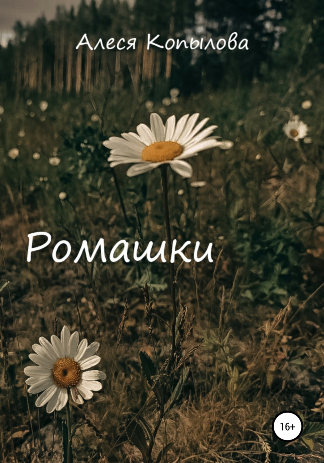 Обложка книги «Ромашки»