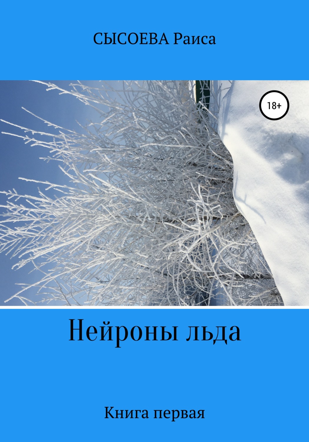 Обложка книги «Нейроны льда»