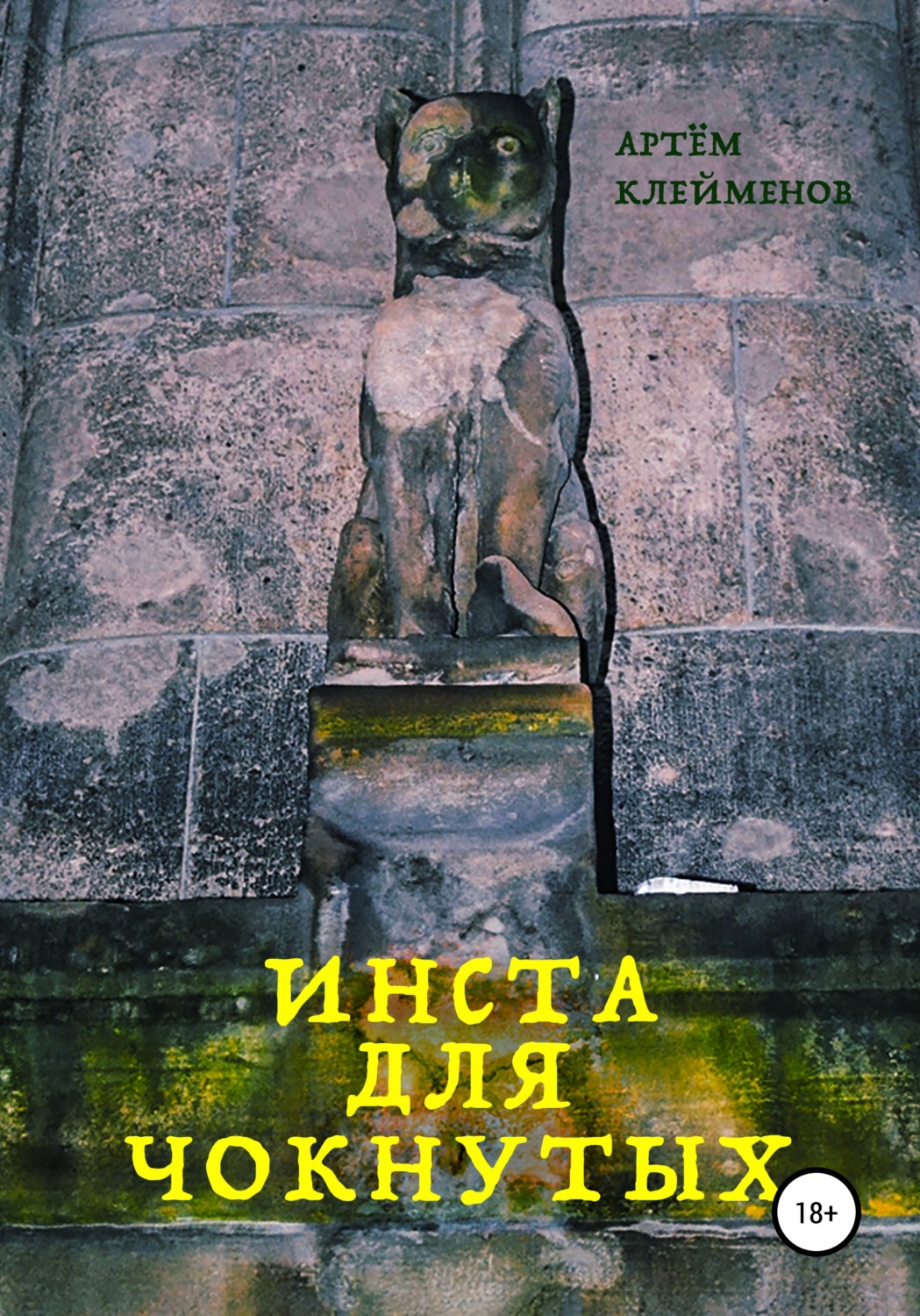 Обложка книги «Инста для чокнутых»