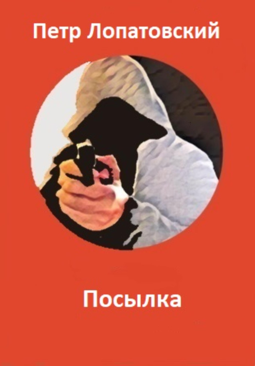 Обложка книги «Посылка»