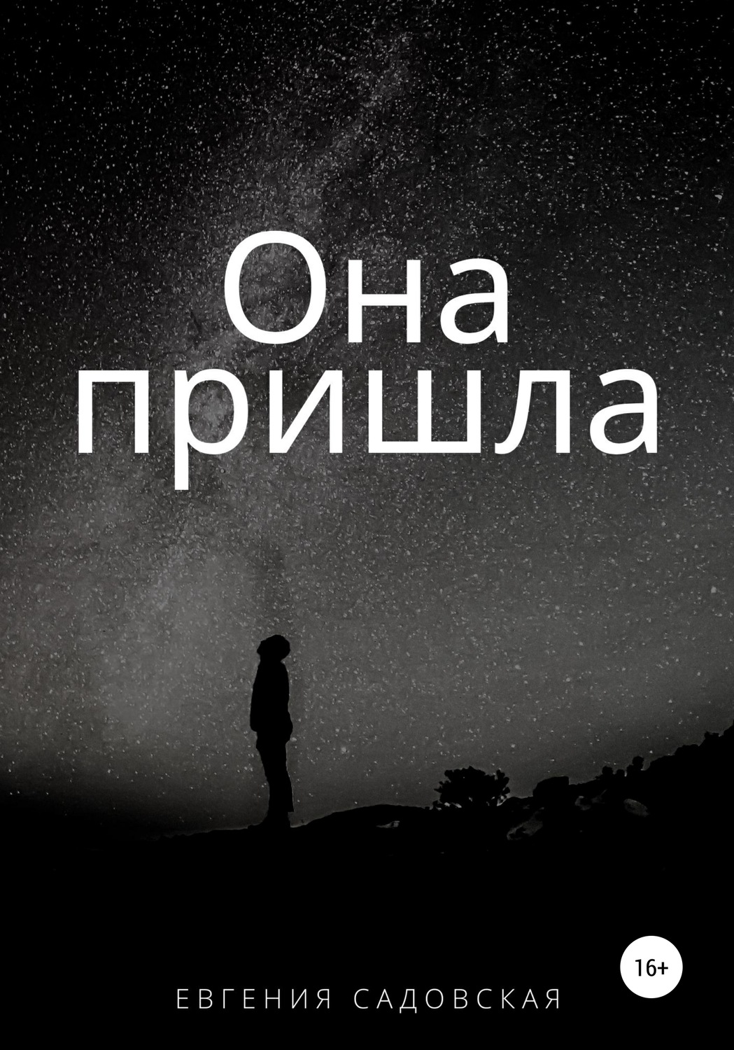 Обложка книги «Она пришла»