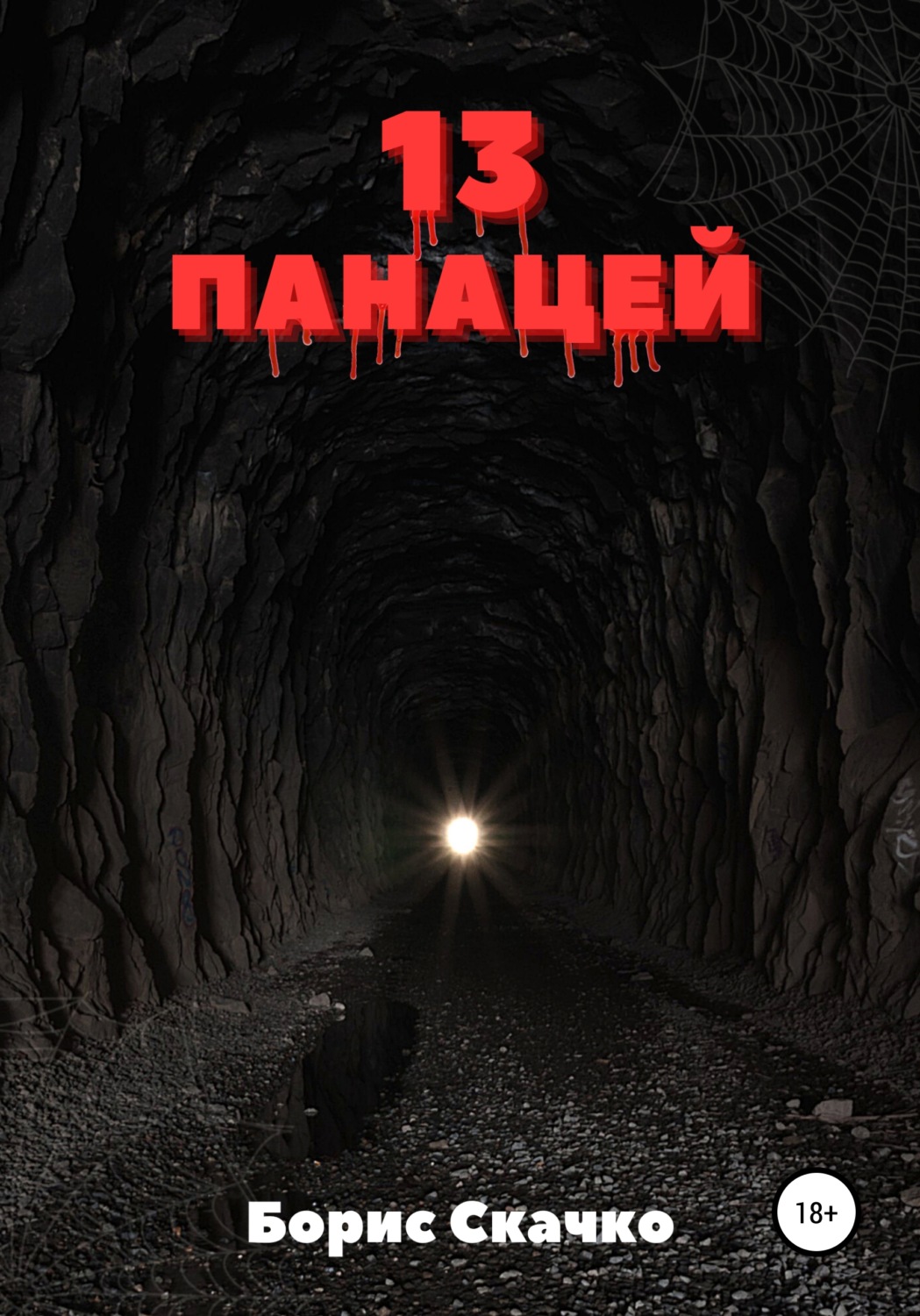Обложка книги «13 панацей»