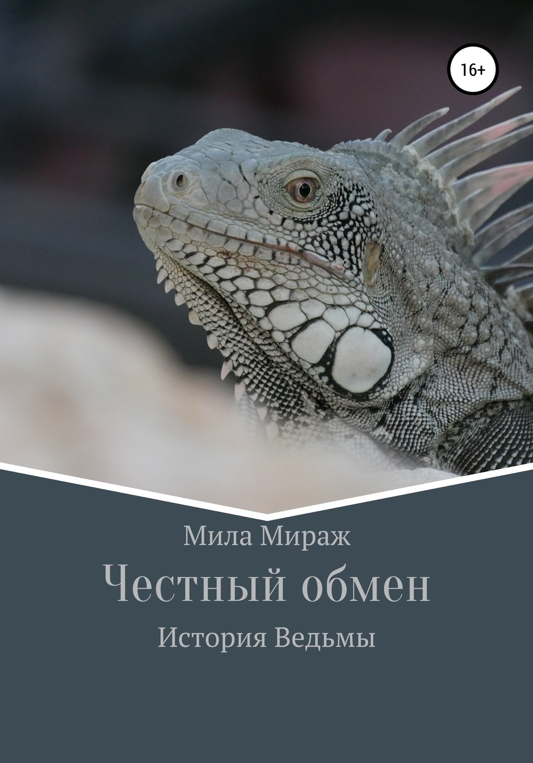 Обложка книги «Честный обмен. История Ведьмы»