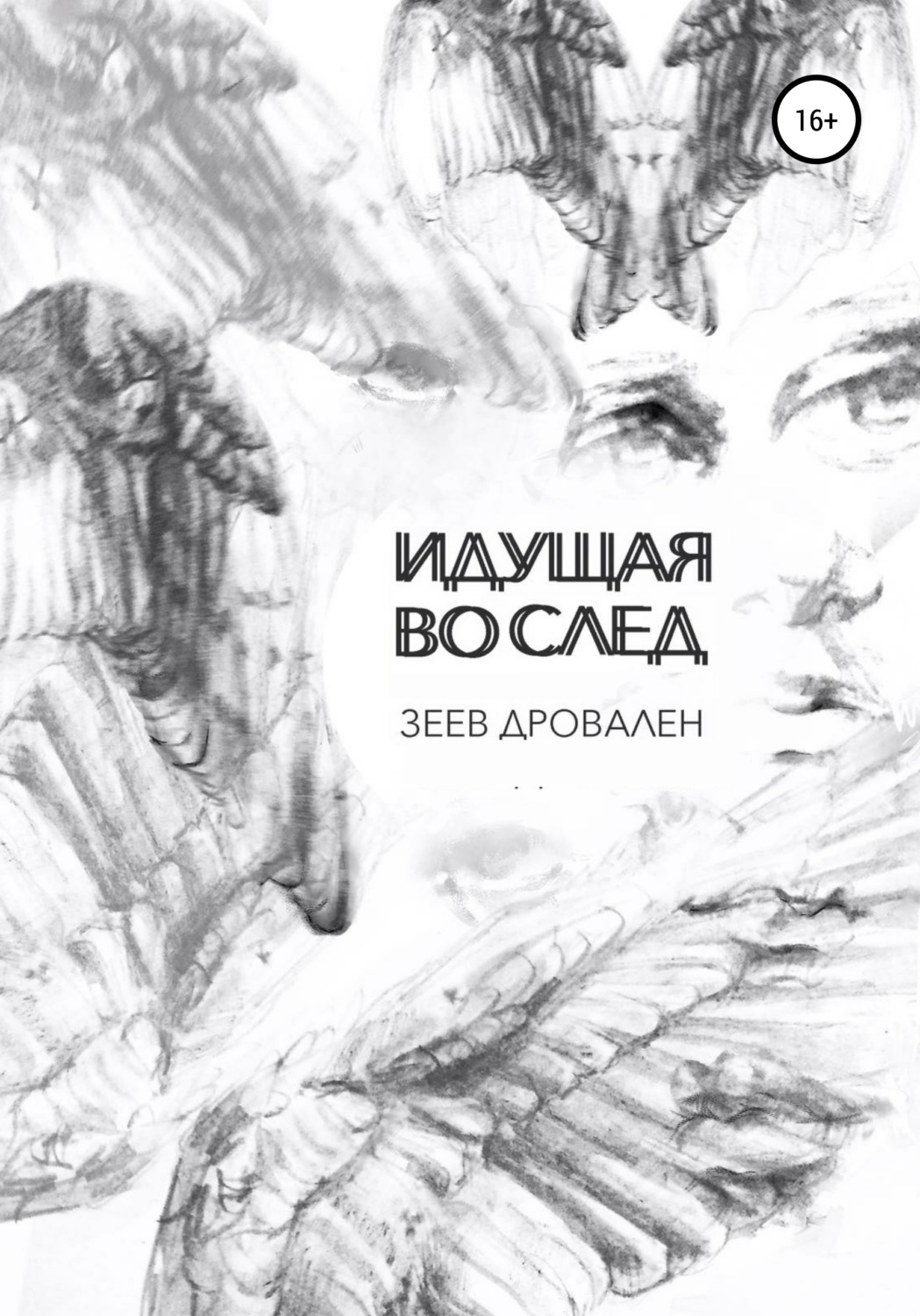 Обложка книги «Идущая вослед»