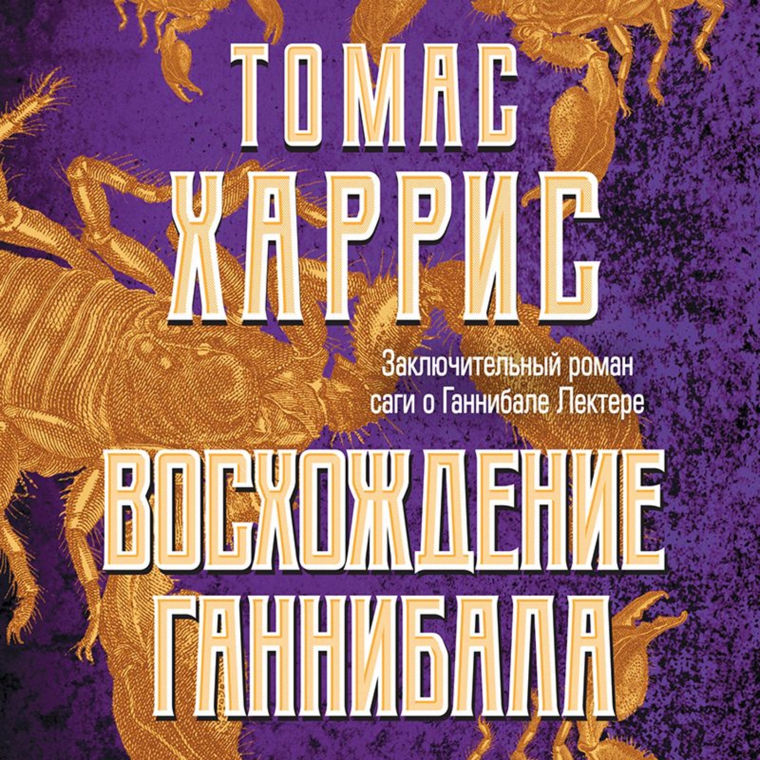 Обложка книги «Восхождение Ганнибала»