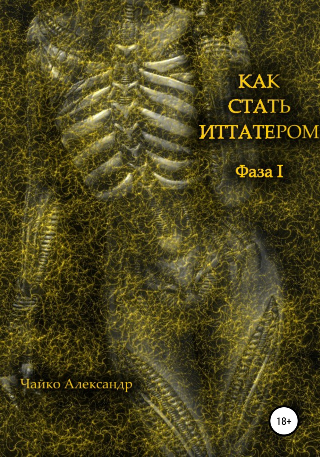 Обложка книги «Как стать иттатером»