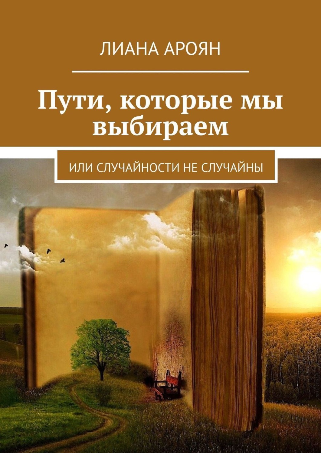 Обложка книги «Пути, которые мы выбираем. Или случайности не случайны»