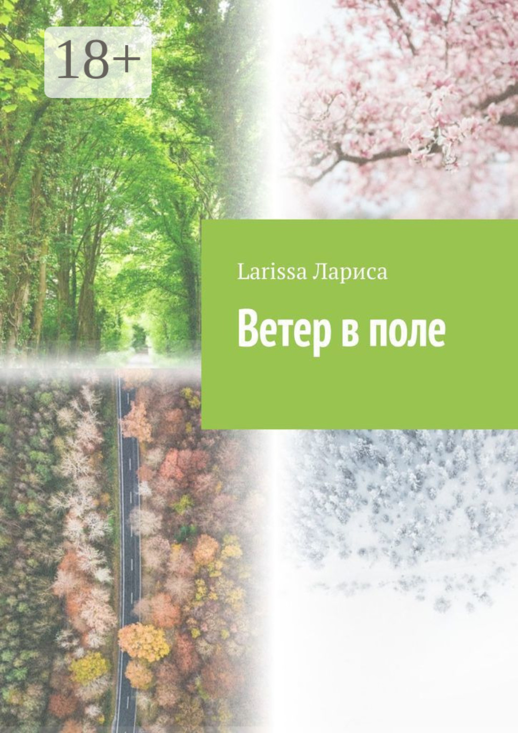 Обложка книги «Ветер в поле»