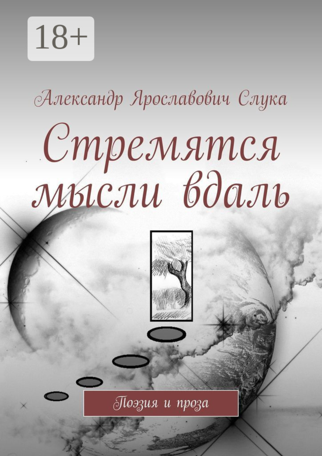 Обложка книги «Стремятся мысли вдаль. Поэзия и проза»