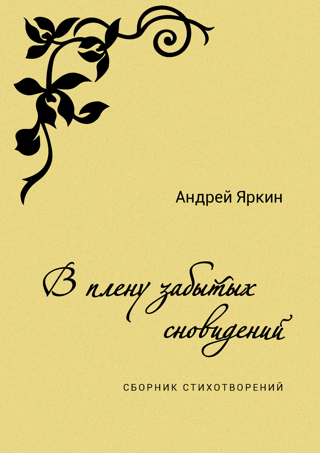 Обложка книги «В плену забытых сновидений»
