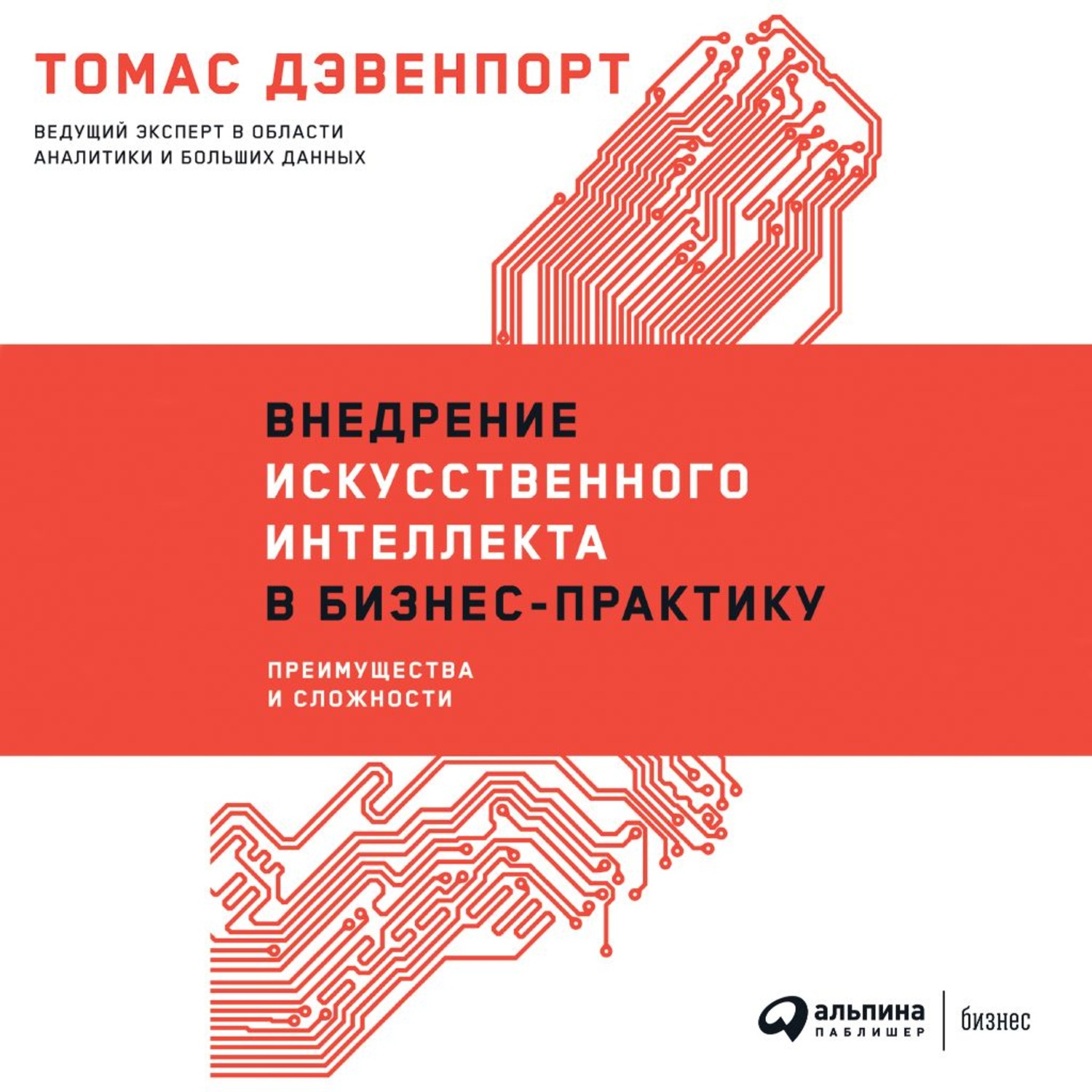Обложка книги «Внедрение искусственного интеллекта в бизнес-практику. Преимущества и сложности»