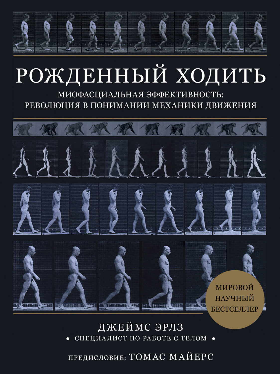 Обложка книги «Рожденный ходить. Миофасциальная эффективность: революция в понимании механики движения»