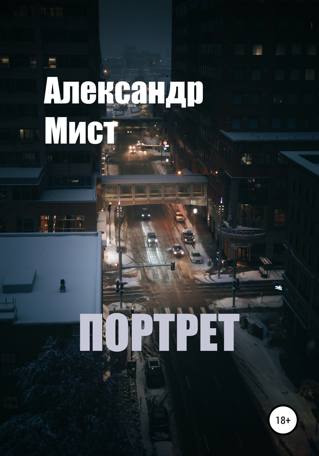 Обложка книги «Портрет»