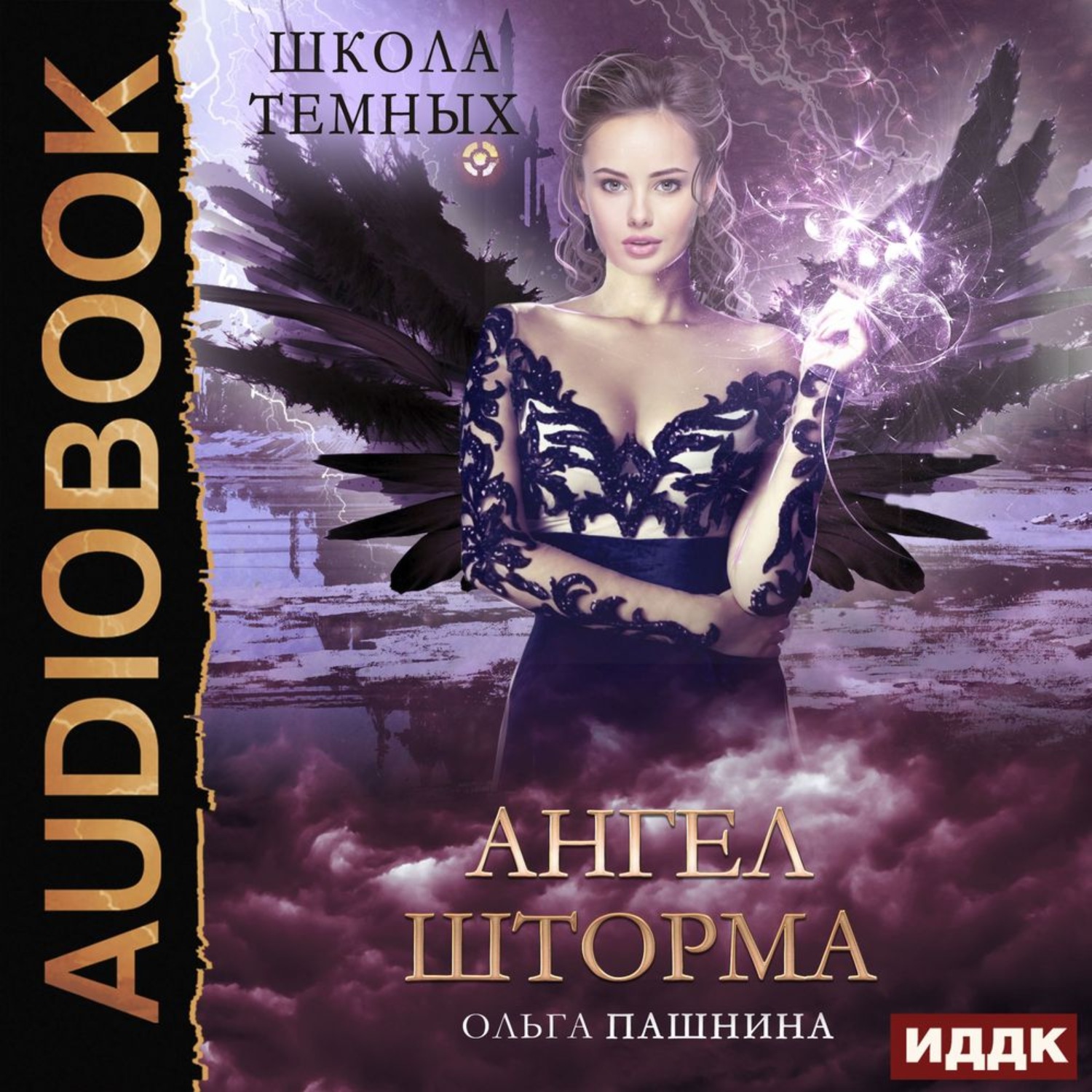 Обложка книги «Школа темных. Ангел шторма»
