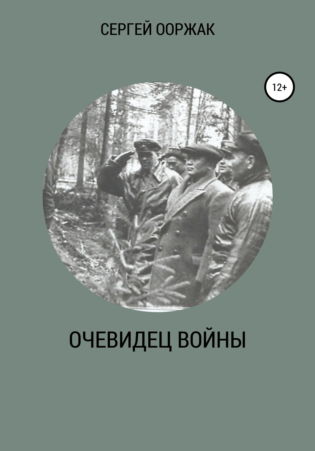 Обложка книги «Очевидец войны»