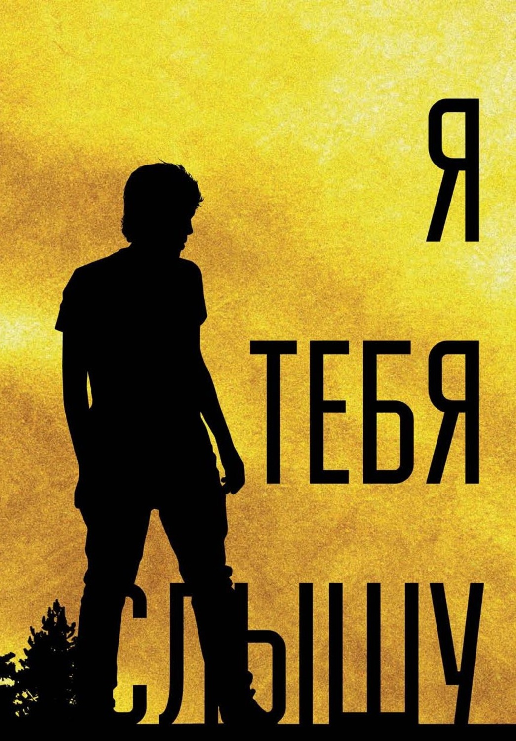Обложка книги «Я тебя слышу, или Дивертисменты жизни»