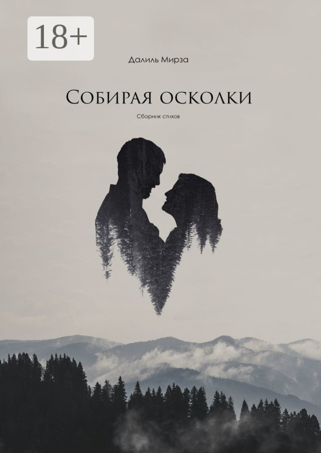Обложка книги «Собирая осколки. Сборник стихов»